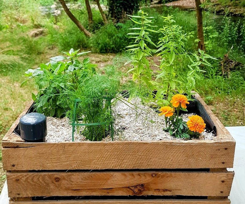 Atelier Jardinage : méthode Wicking Bed