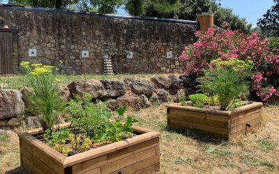 Potager pédagogique Ecole Garbejaire