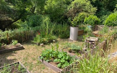 Potager pédagogique Maison de la Nature