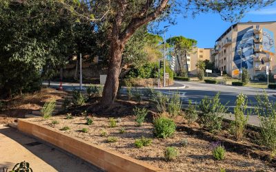 Végétalisation Médiathèque Colette