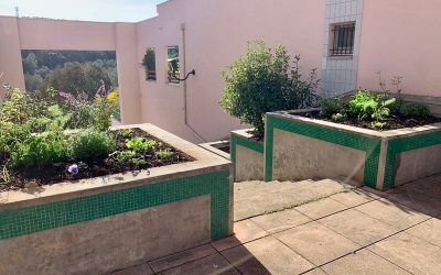 Transformation de jardinières béton