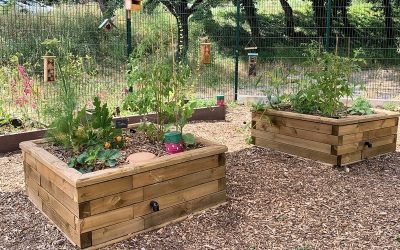 Potager pédagogique Ecole Haut-Sartoux
